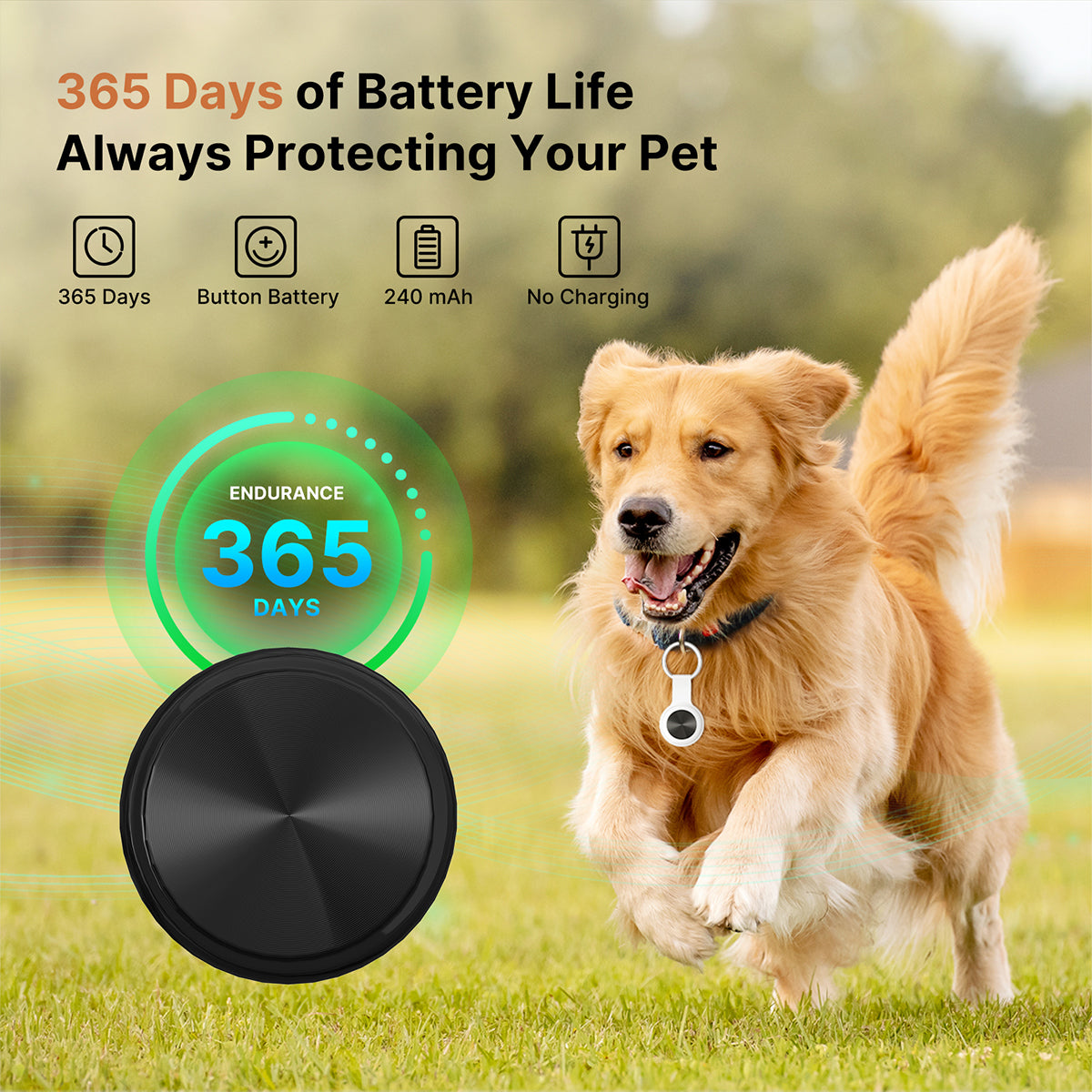 FindSync™ Smart Pet Tracker IP65 Waterproof, iOS & Android – for Outdoor Pet Use | Traverseon