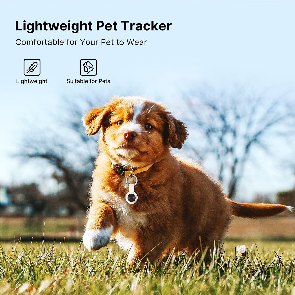 FindSync™ Smart Pet Tracker IP65 Waterproof, iOS & Android – for Outdoor Pet Use | Traverseon