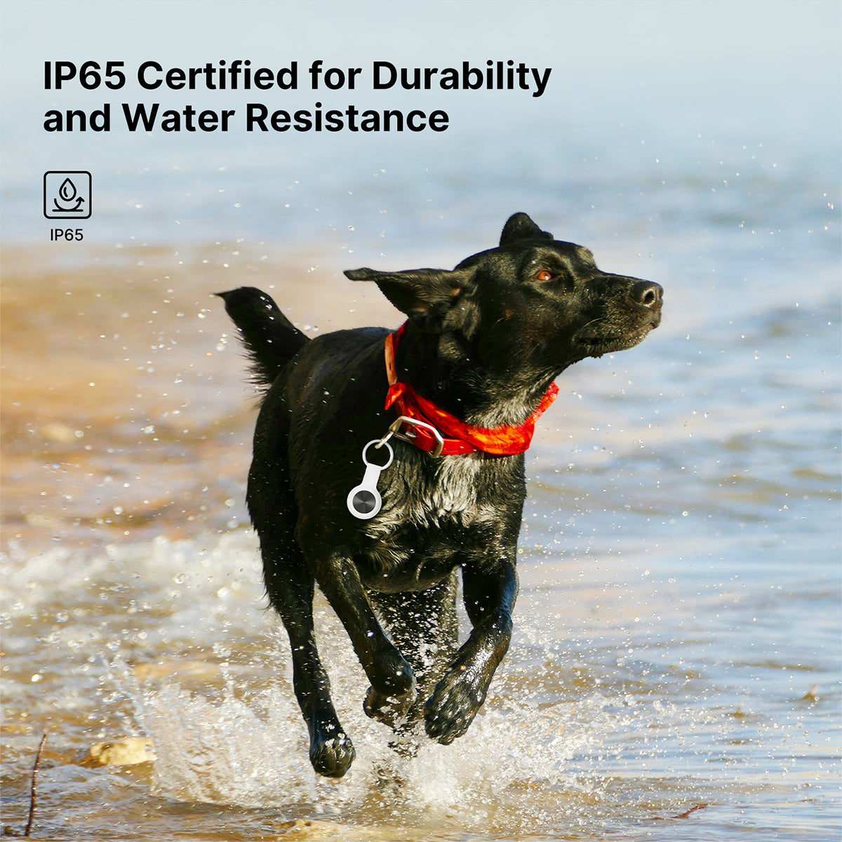 FindSync™ Smart Pet Tracker IP65 Waterproof, iOS & Android – for Outdoor Pet Use | Traverseon
