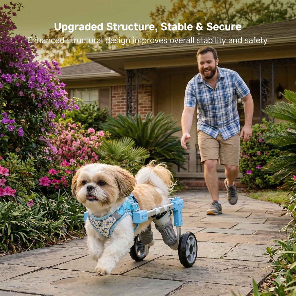 Dog Wheelchair for Back Legs – 2/4-Wheel Adjustable Mobility Cart | Traverseon