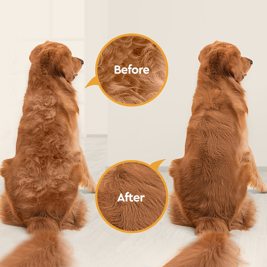 12000Pa Suction & QUIETCARE™ TECHNOLOGY Pet Grooming Clipper