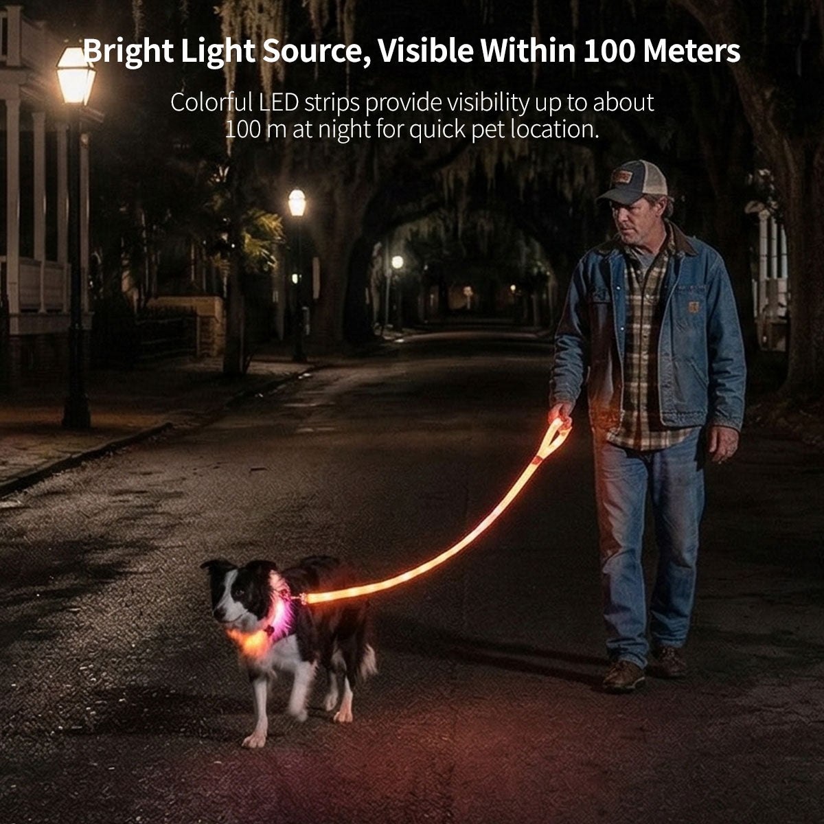 LED Glowing Pet Collar Leash - 3 Modes 100m Visible USB Rechargeable for Night Walk | Traverseon