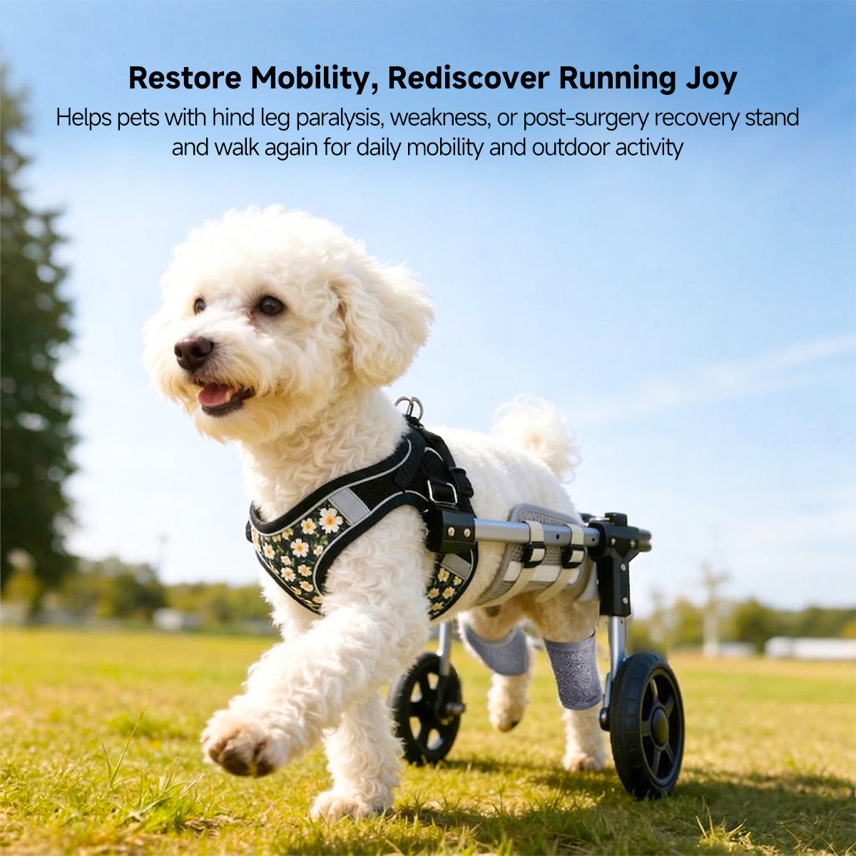Dog Wheelchair for Back Legs – 2/4-Wheel Adjustable Mobility Cart | Traverseon