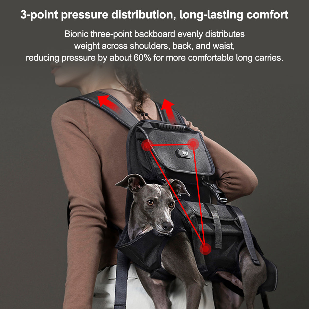 Breathable Dog Backpack Carrier - Ergonomic 3-Point Support for Hiking & Daily Walks (Up to 33 lbs) | Traverseon