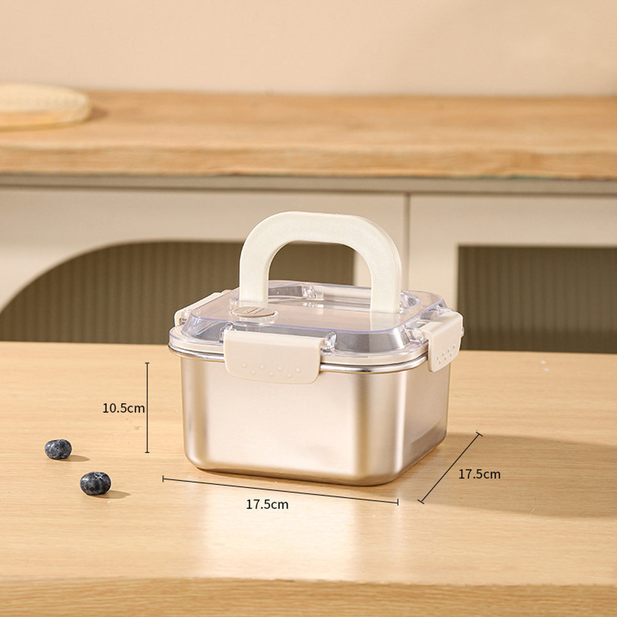 FreshSeal Stainless Steel Food Storage Box