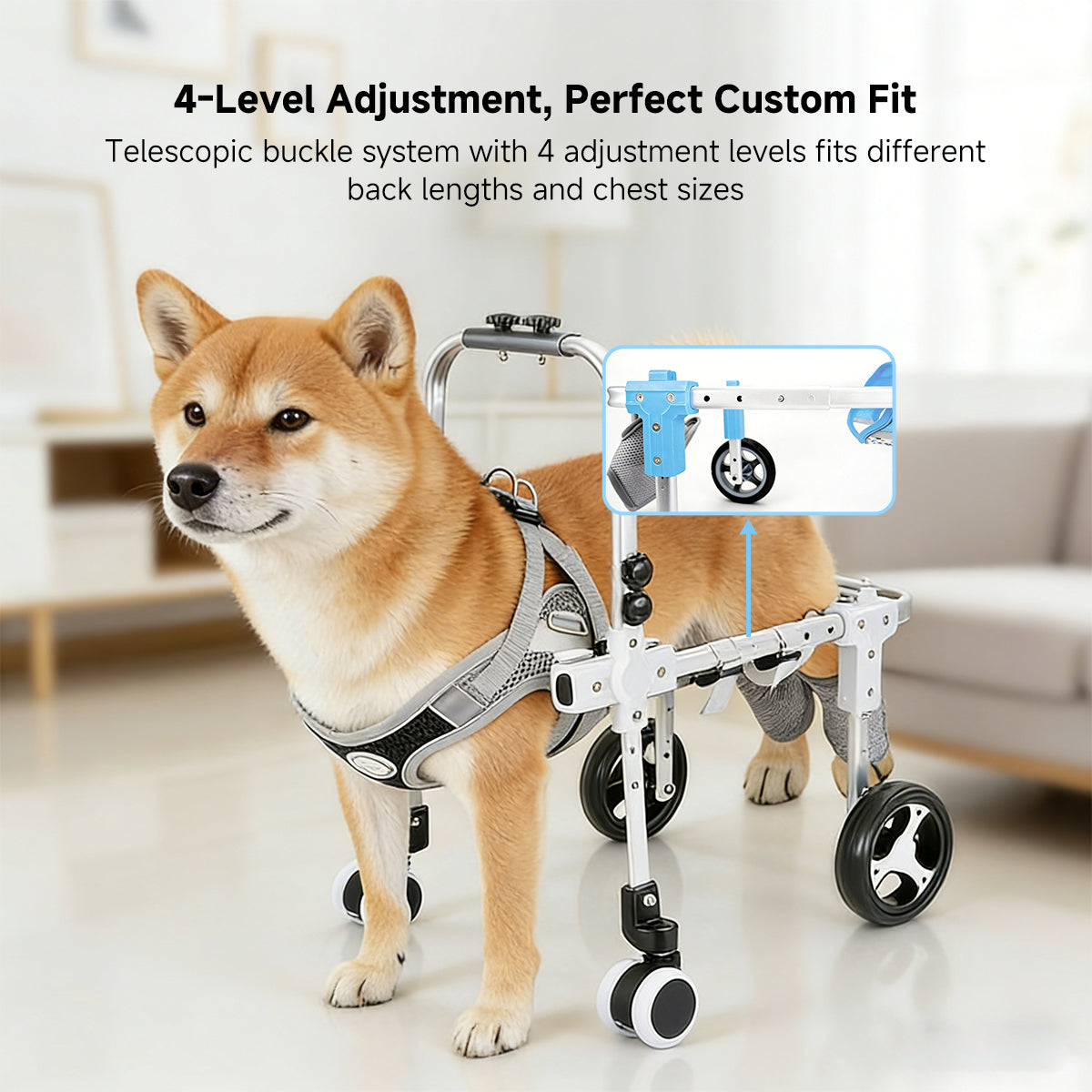 Dog Wheelchair for Back Legs – 2/4-Wheel Adjustable Mobility Cart | Traverseon