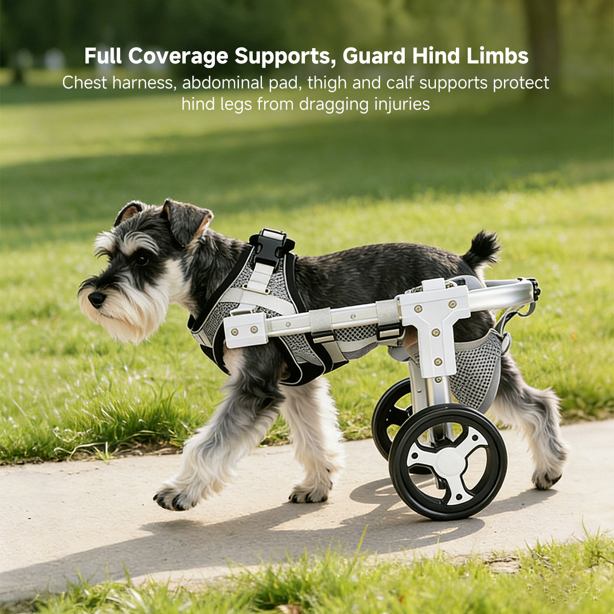 Dog Wheelchair for Back Legs – 2/4-Wheel Adjustable Mobility Cart | Traverseon