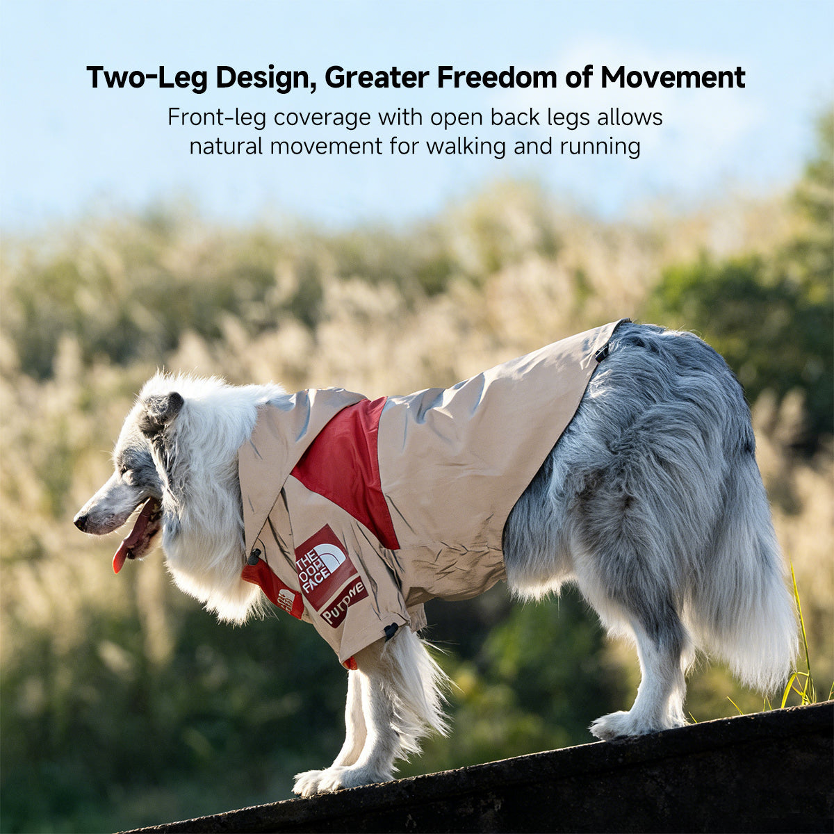 Reflective Waterproof Dog Jacket – Reversible Raincoat, Adjustable Fit S–5XL | Traverseon