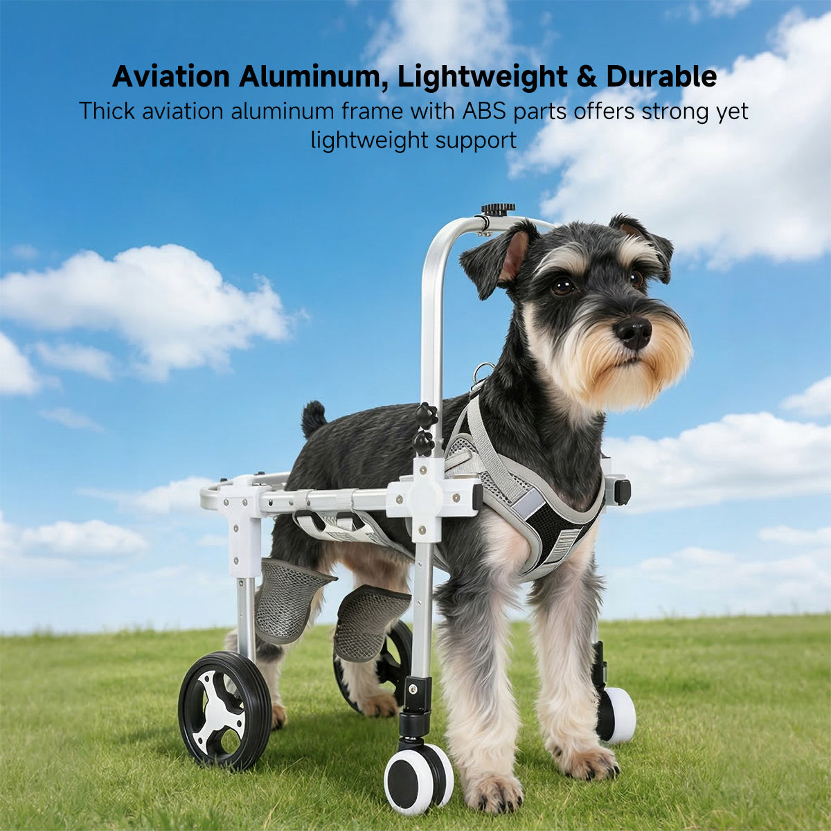 Dog Wheelchair for Back Legs – 2/4-Wheel Adjustable Mobility Cart | Traverseon