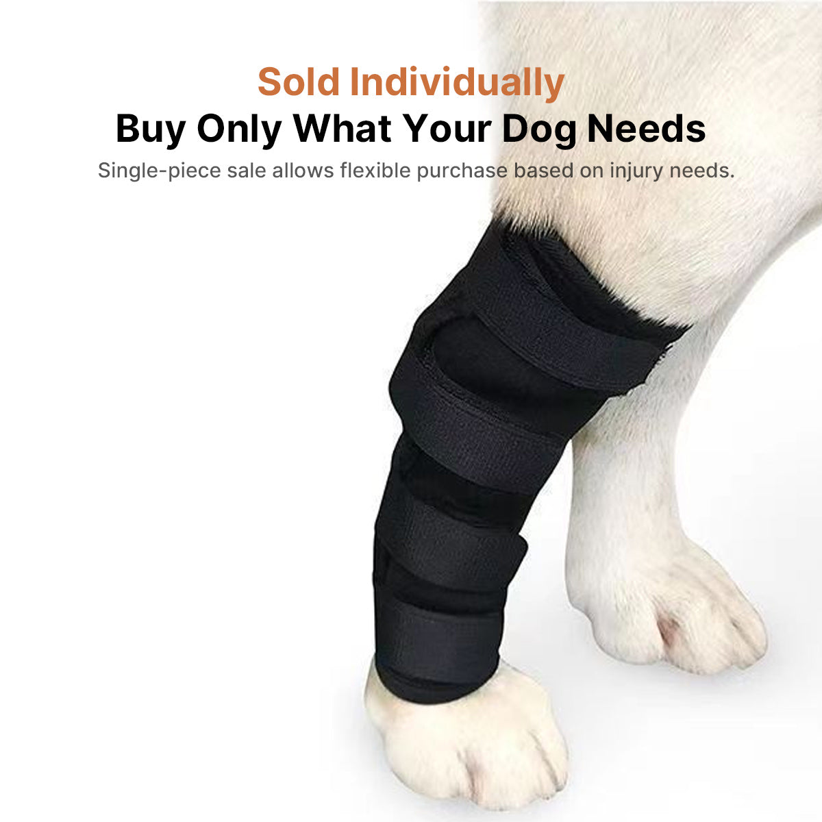 Dog Post-Surgery Leg Brace | Joint Support | Traverseon