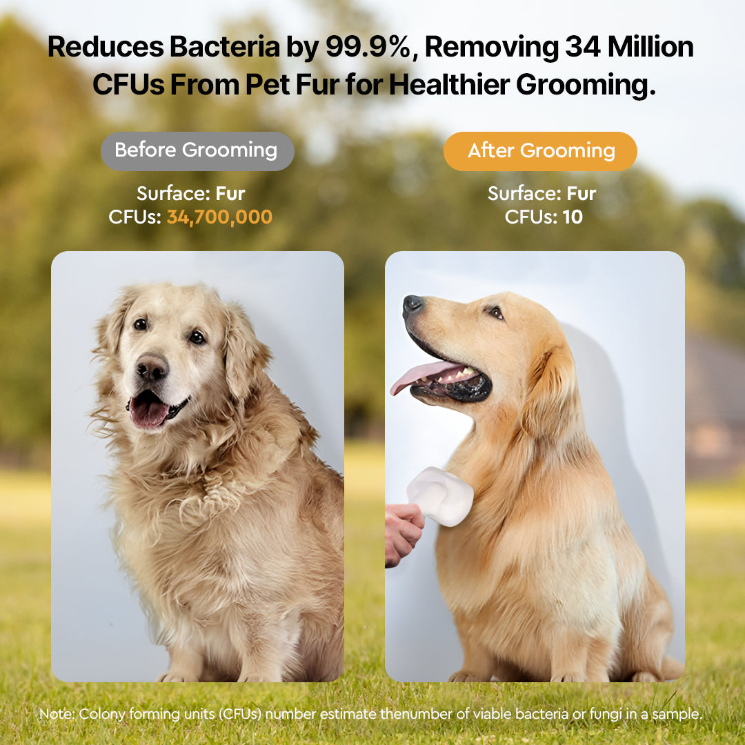 12000Pa Suction & QUIETCARE™ TECHNOLOGY Pet Grooming Clipper