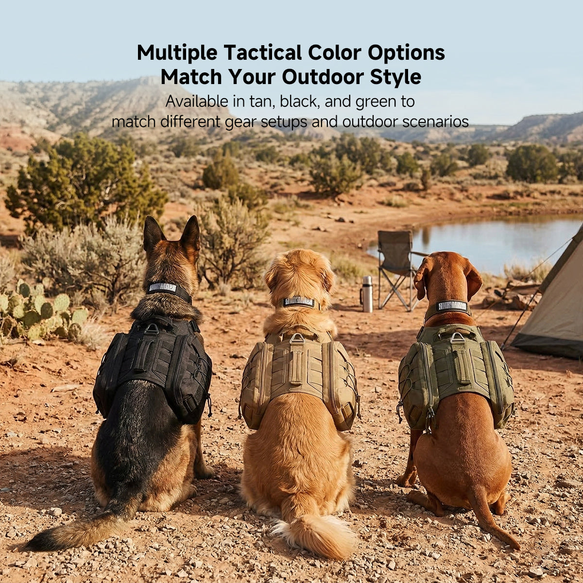 Tactical No-Pull Dog Harness Vest (Medium/Large) - 1000D Nylon, Anti-Lunge for Training & Hiking | Traverseon