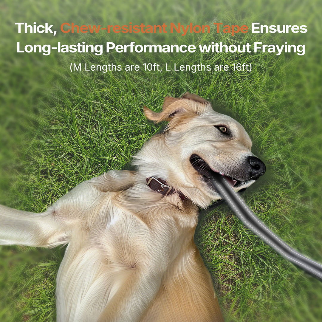 Heavy Duty Retractable Dog Leash, Reflective 360° Tangle-Free, 3m/5m | Traverseon