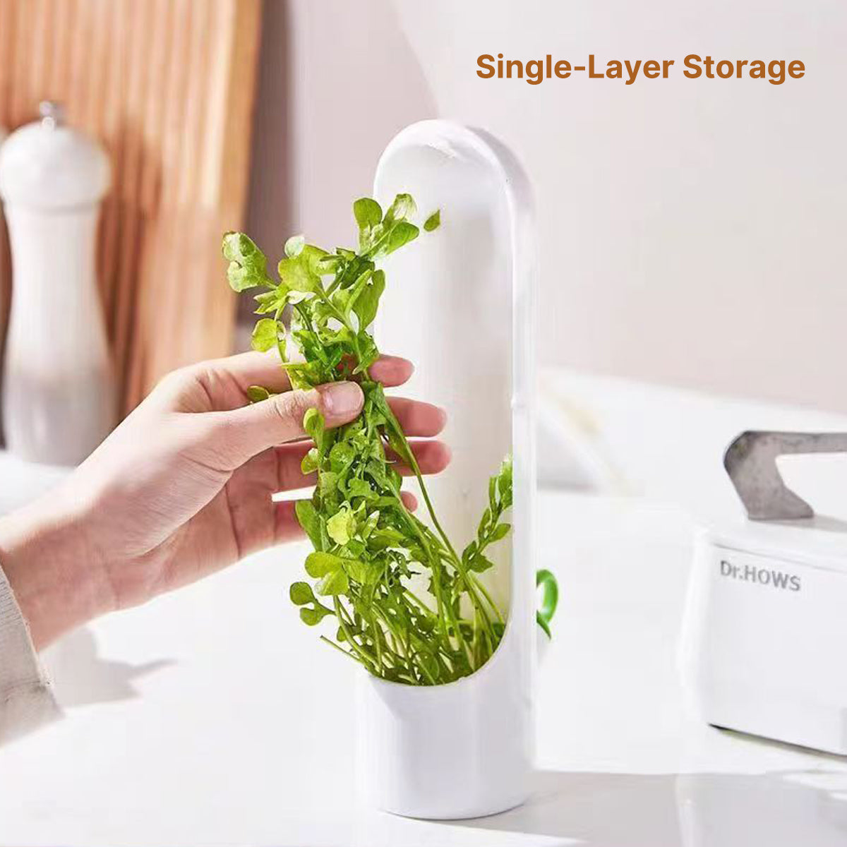 FreshKeep Herb & Veggie Storage Container