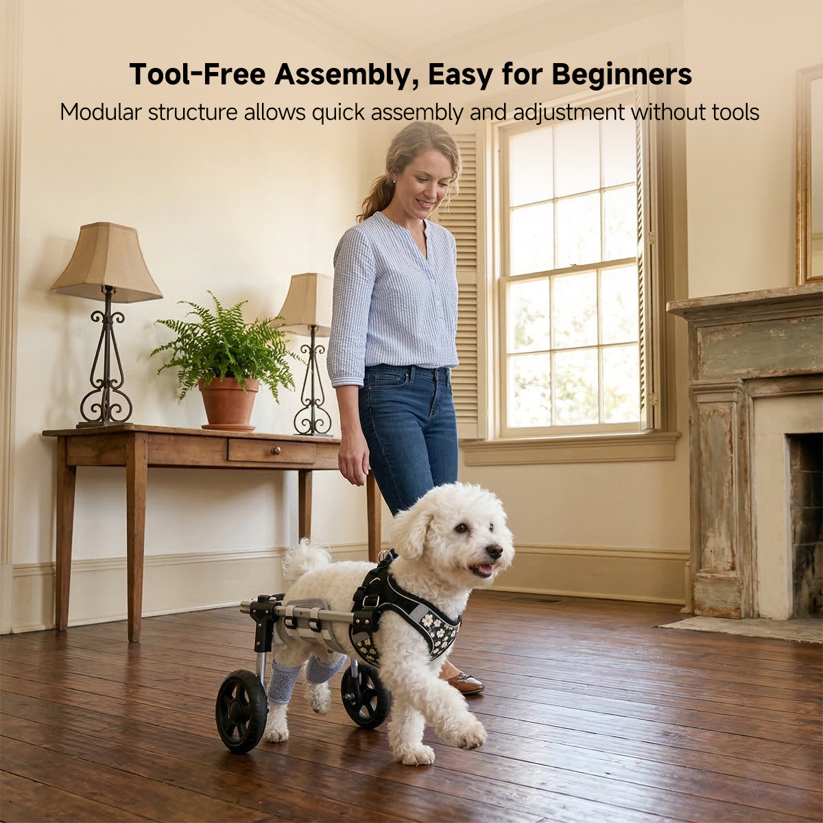 Dog Wheelchair for Back Legs – 2/4-Wheel Adjustable Mobility Cart | Traverseon