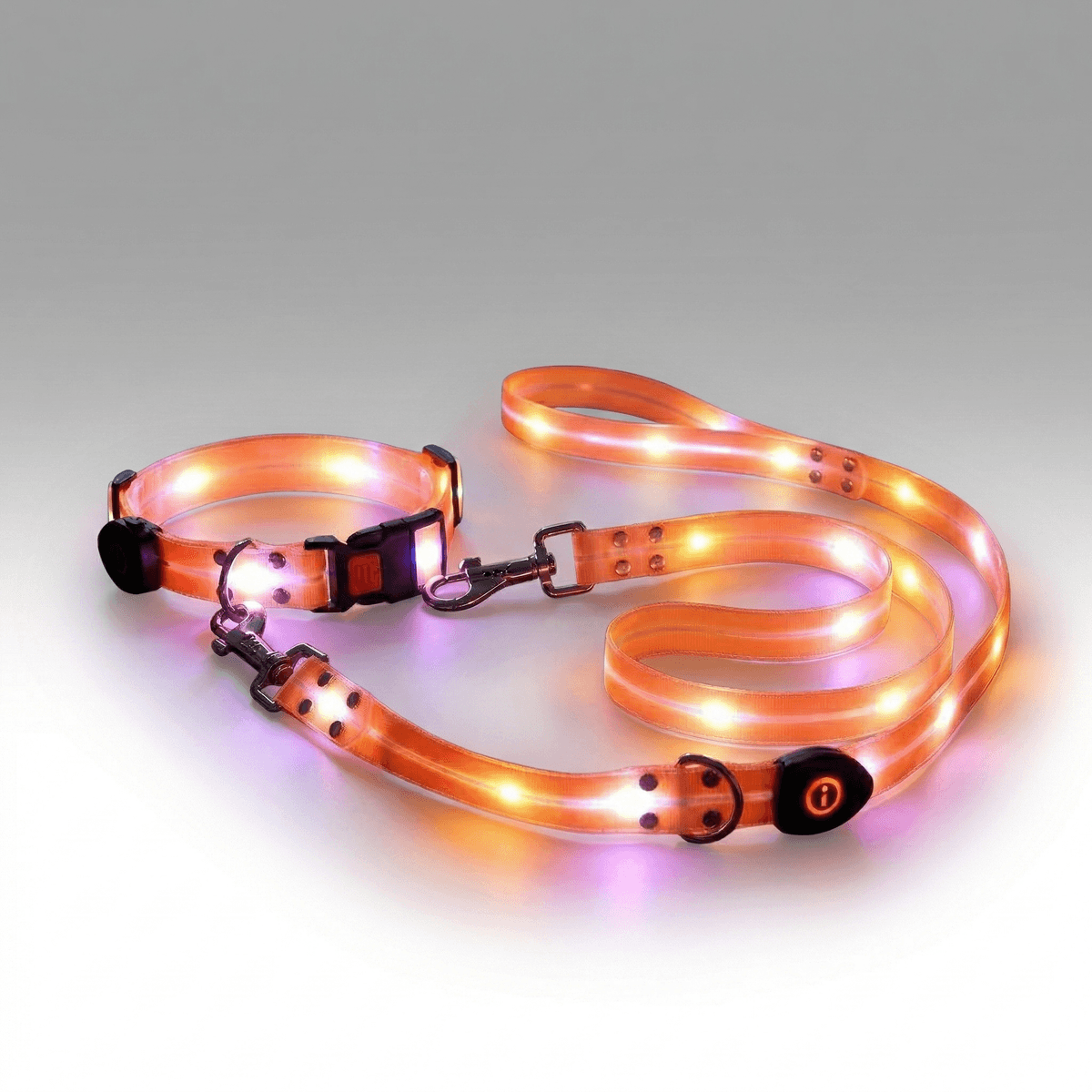 LED Glowing Pet Collar Leash - 3 Modes 100m Visible USB Rechargeable for Night Walk | Traverseon