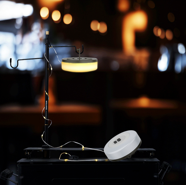 Traverseon Retractable Camping String Light