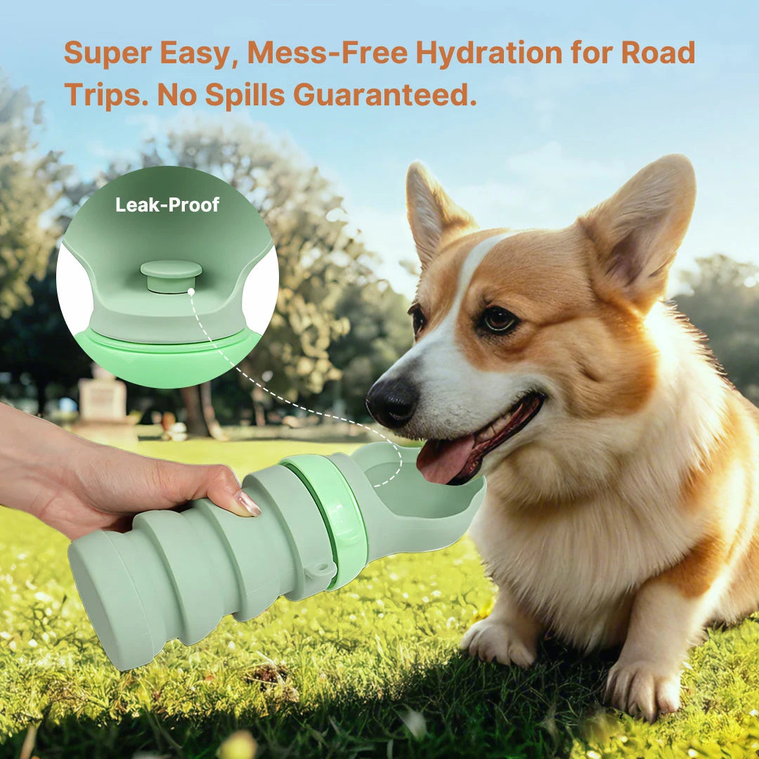 Portable Collapsible Pet Water Bottle