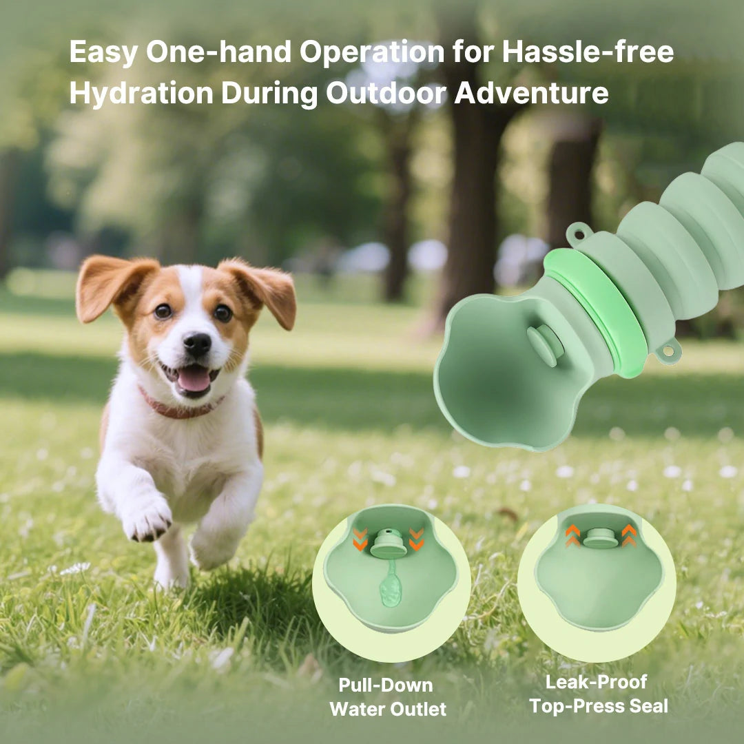 Portable Collapsible Pet Water Bottle