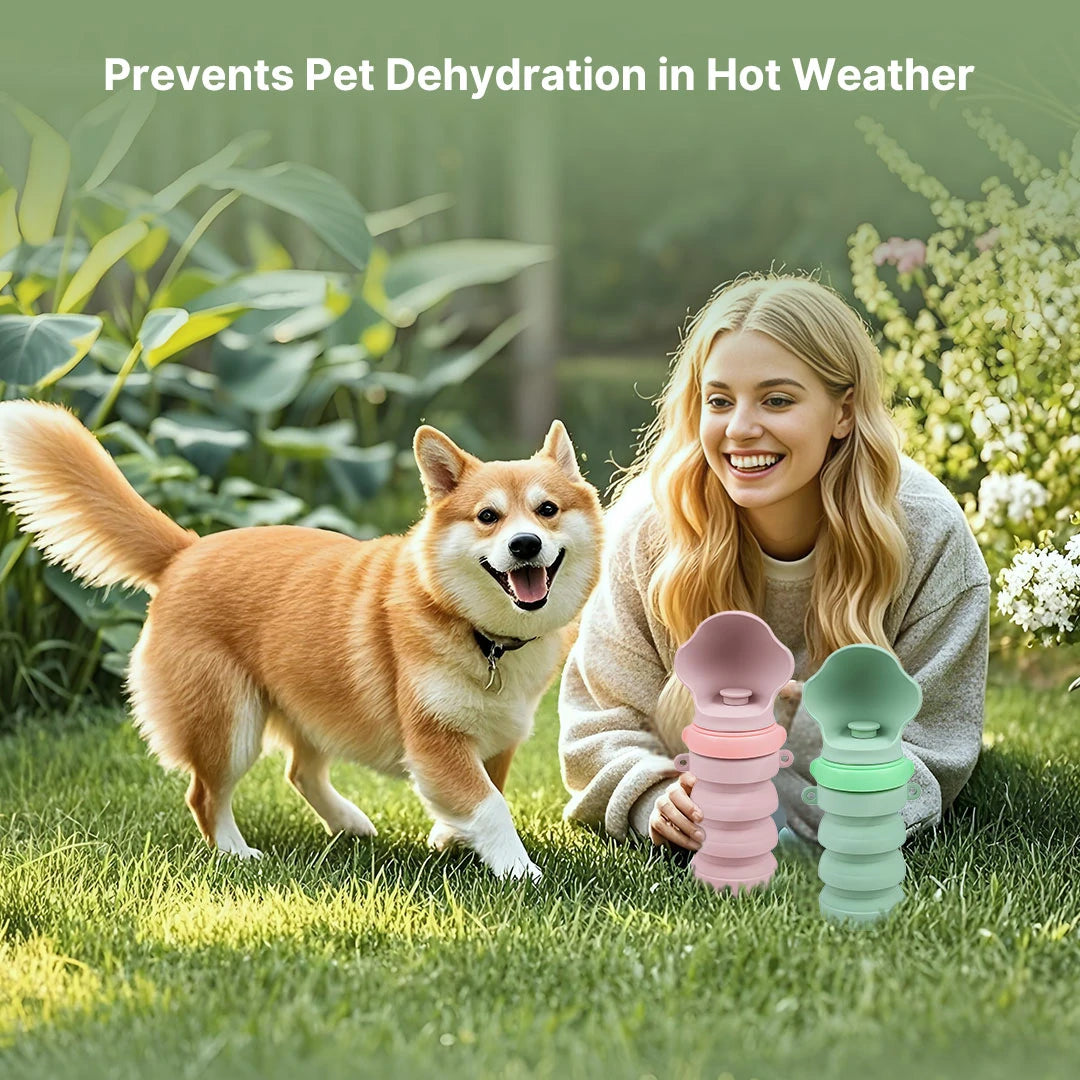 Portable Collapsible Pet Water Bottle