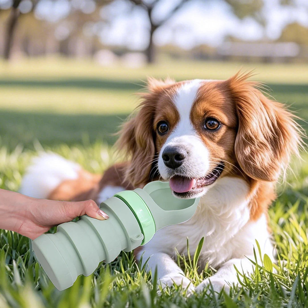 Portable Collapsible Pet Water Bottle