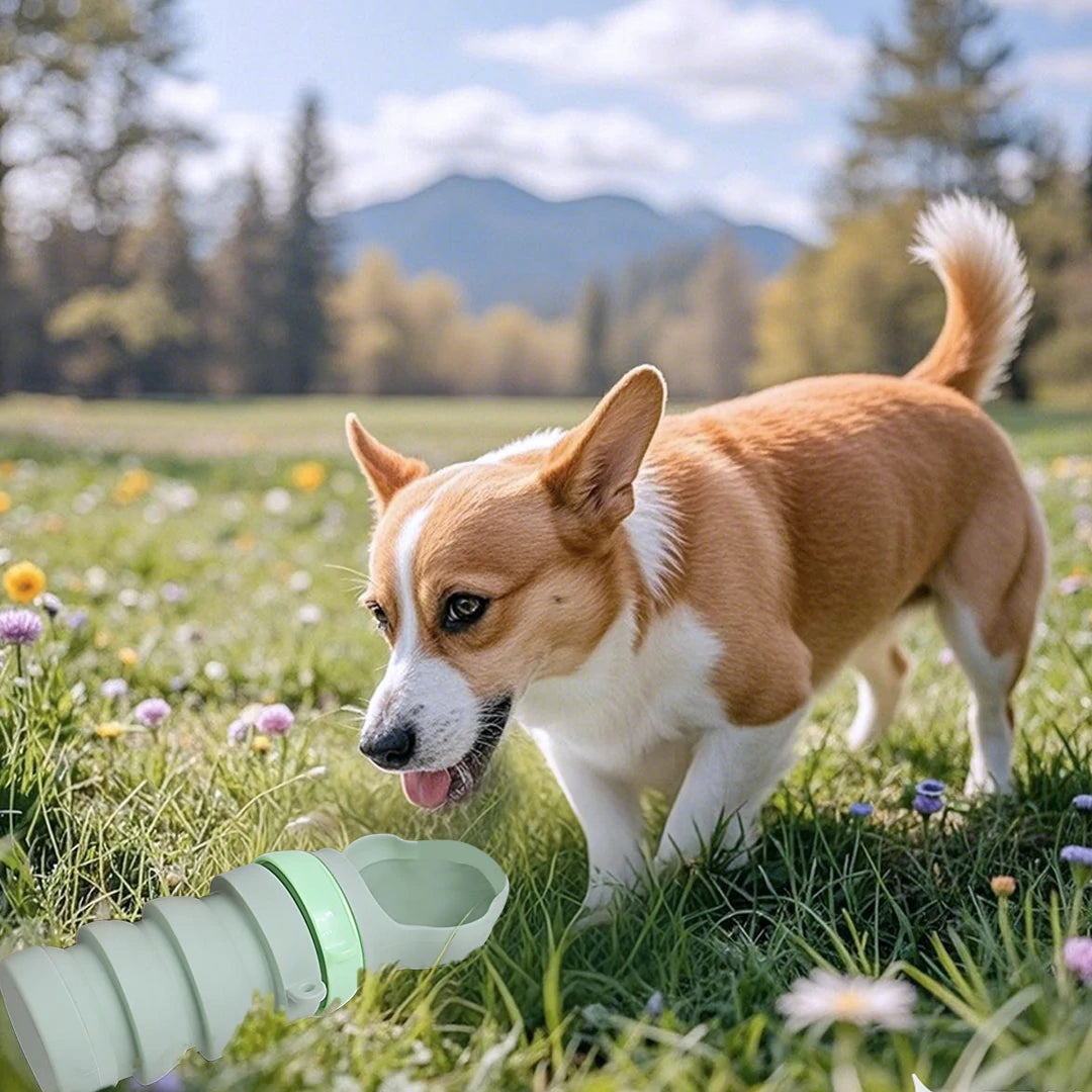 Portable Collapsible Pet Water Bottle