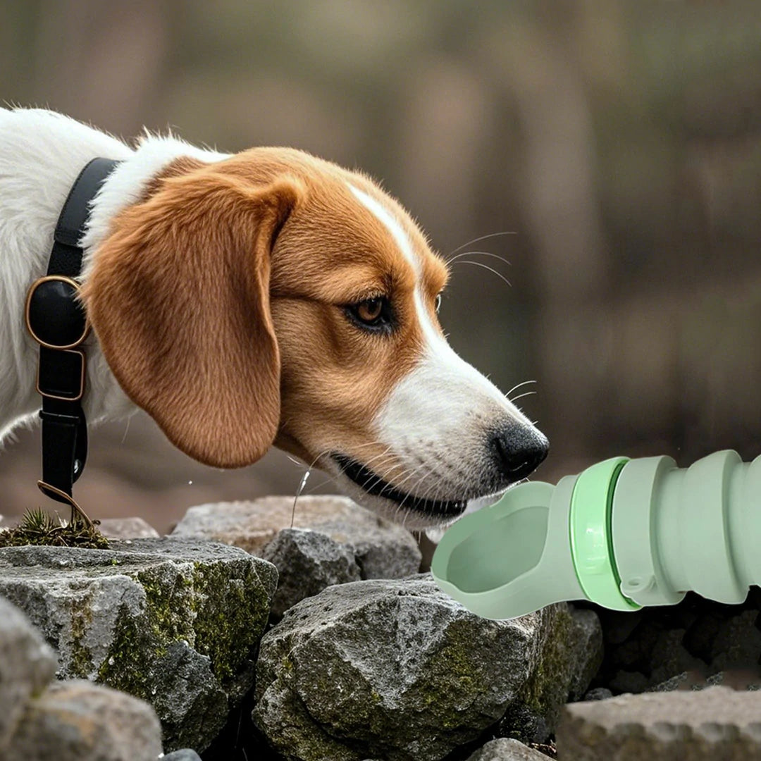 Portable Collapsible Pet Water Bottle