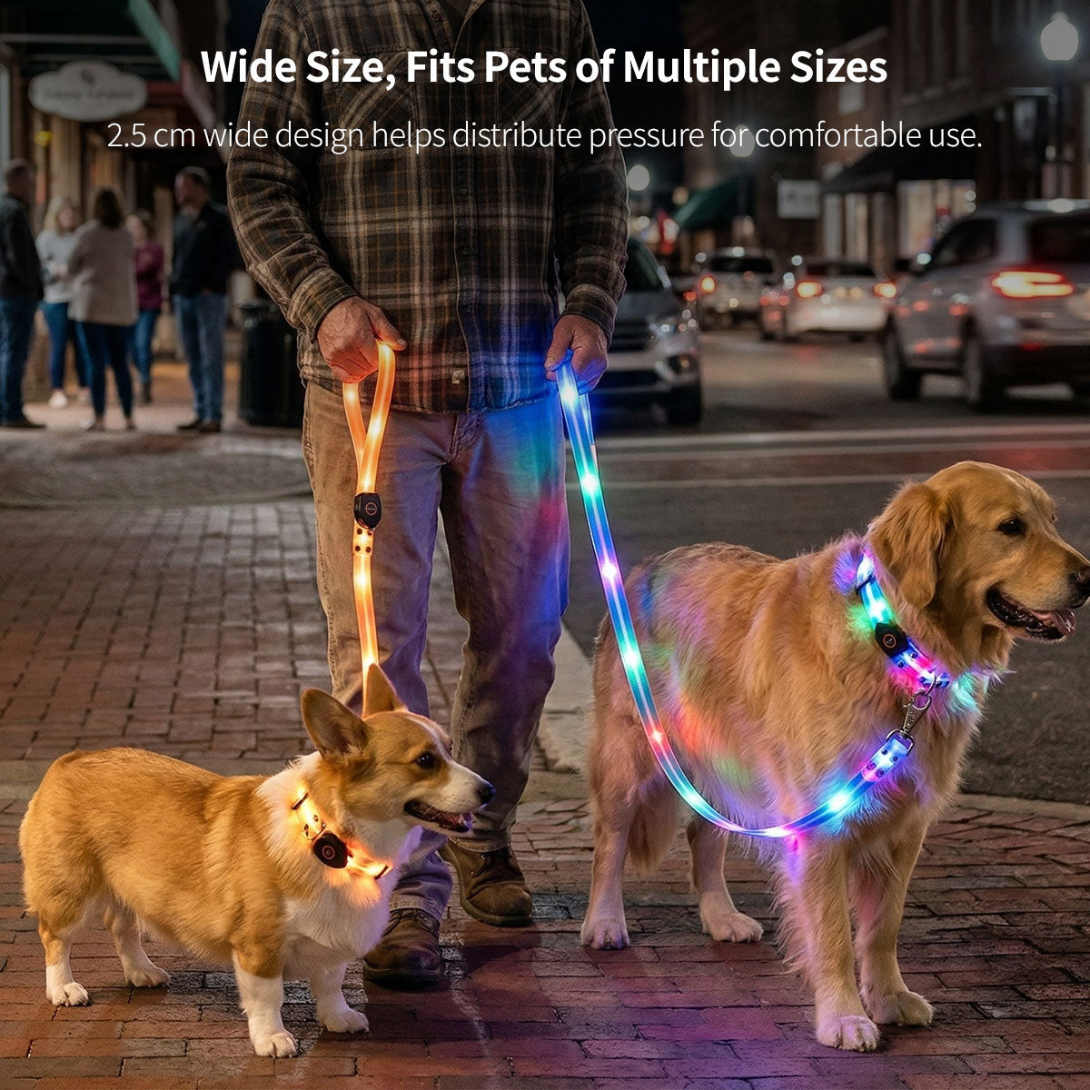 LED Glowing Pet Collar Leash - 3 Modes 100m Visible USB Rechargeable for Night Walk | Traverseon