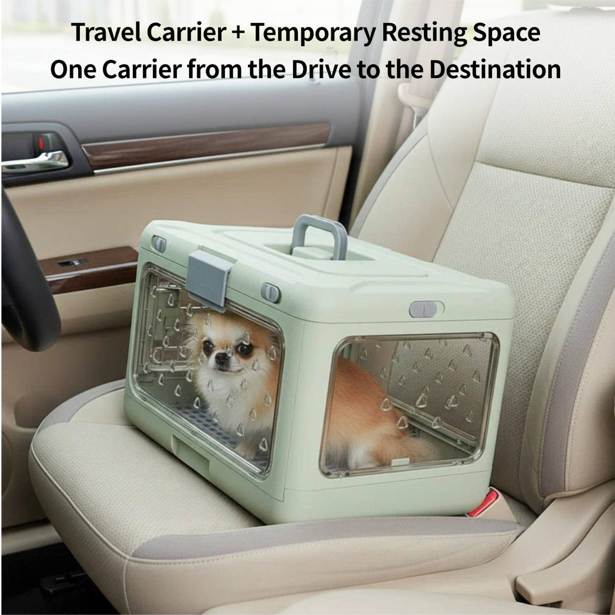 Top-Opening Foldable Pet Carrier – Hard-Sided Ventilated for Air Travel | Traverseon