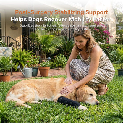 Dog Post-Surgery Leg Brace | Joint Support | Traverseon