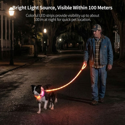 LED Glowing Pet Collar Leash - 3 Modes 100m Visible USB Rechargeable for Night Walk | Traverseon