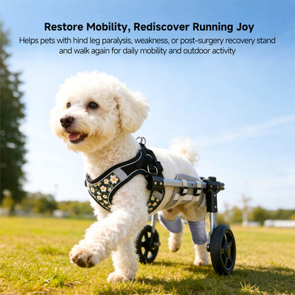 Wheelchair Dog for Back Legs, 2/4 Wheels Adjustable Mobility Support for Small Medium Dogs | Traverseon