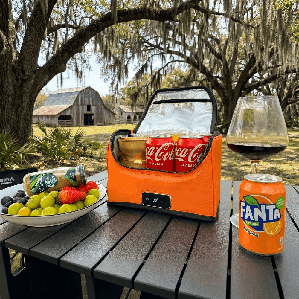 4L Portable Car Cooler & Warmer – 12V Mini Fridge for Travel | Traverseon
