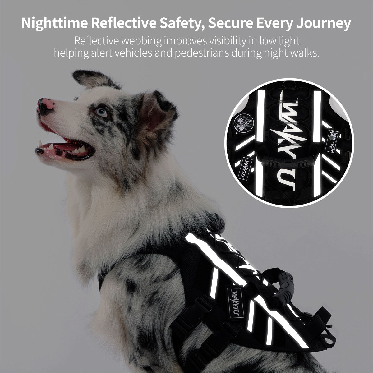 Outdoor Dog Harness – 900D Nylon Detachable Elastic Leash Reflective Dual Handles M/L/XL Hiking Walking | Traverseon