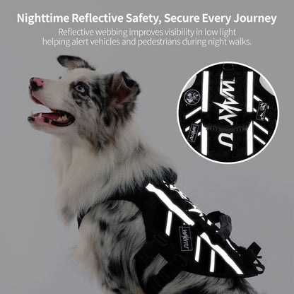 Outdoor Dog Harness – 900D Nylon Detachable Elastic Leash Reflective Dual Handles M/L/XL Hiking Walking | Traverseon