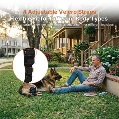 Dog Post-Surgery Leg Brace | Joint Support | Traverseon