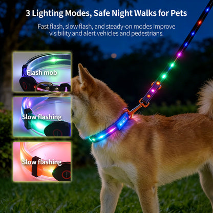 LED Glowing Pet Collar Leash - 3 Modes 100m Visible USB Rechargeable for Night Walk | Traverseon