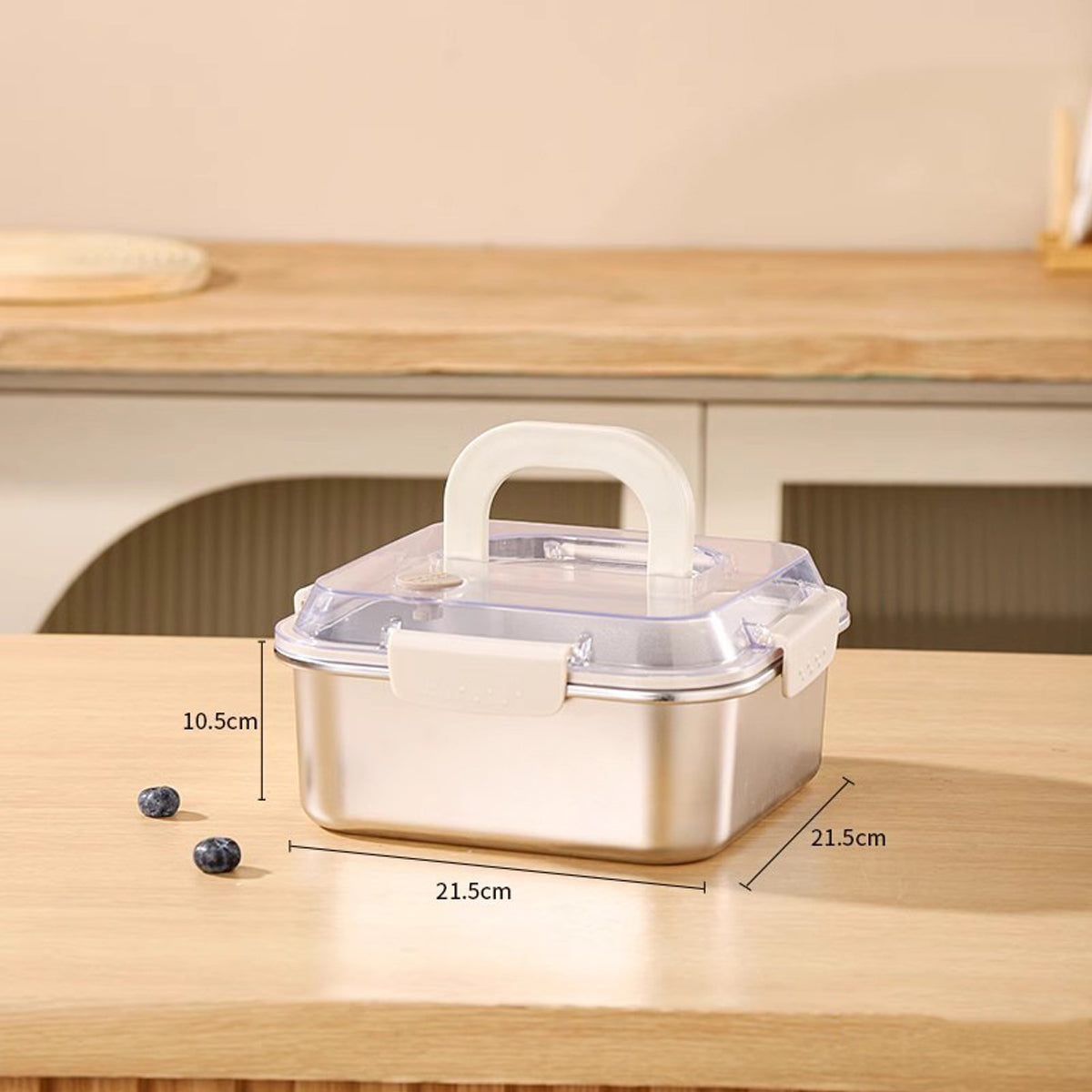 FreshSeal Stainless Steel Food Storage Box