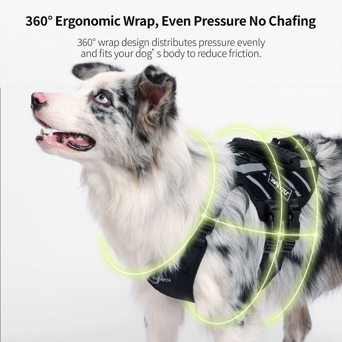 Outdoor Dog Harness – 900D Nylon Detachable Elastic Leash Reflective Dual Handles M/L/XL Hiking Walking | Traverseon