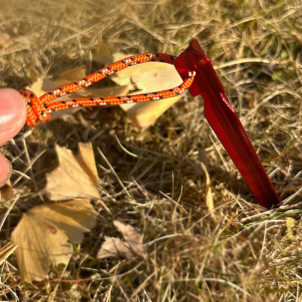 Traverseon Stainless Steel Ground Stakes *6 pieces