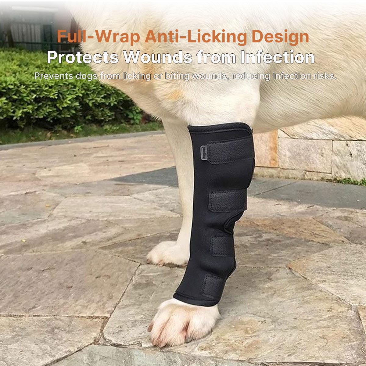Dog Post-Surgery Leg Brace | Joint Support | Traverseon
