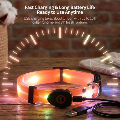 LED Glowing Pet Collar Leash - 3 Modes 100m Visible USB Rechargeable for Night Walk | Traverseon