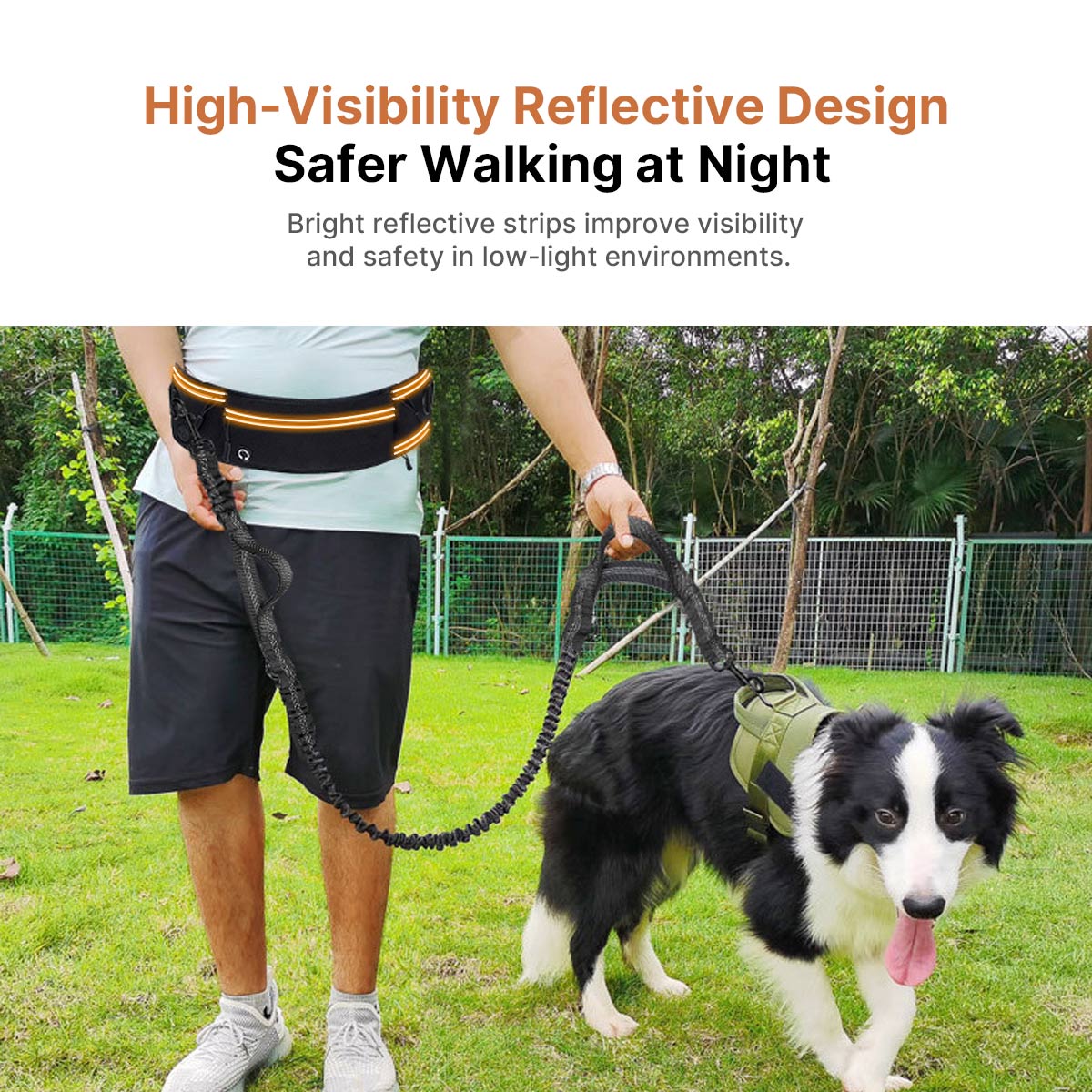 Hands-Free Dog Leash with Waist Bag – Dual Buffer Anti-Pull Running Leash for Walking & Hiking | Traverseon