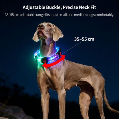 LED Glowing Pet Collar Leash - 3 Modes 100m Visible USB Rechargeable for Night Walk | Traverseon