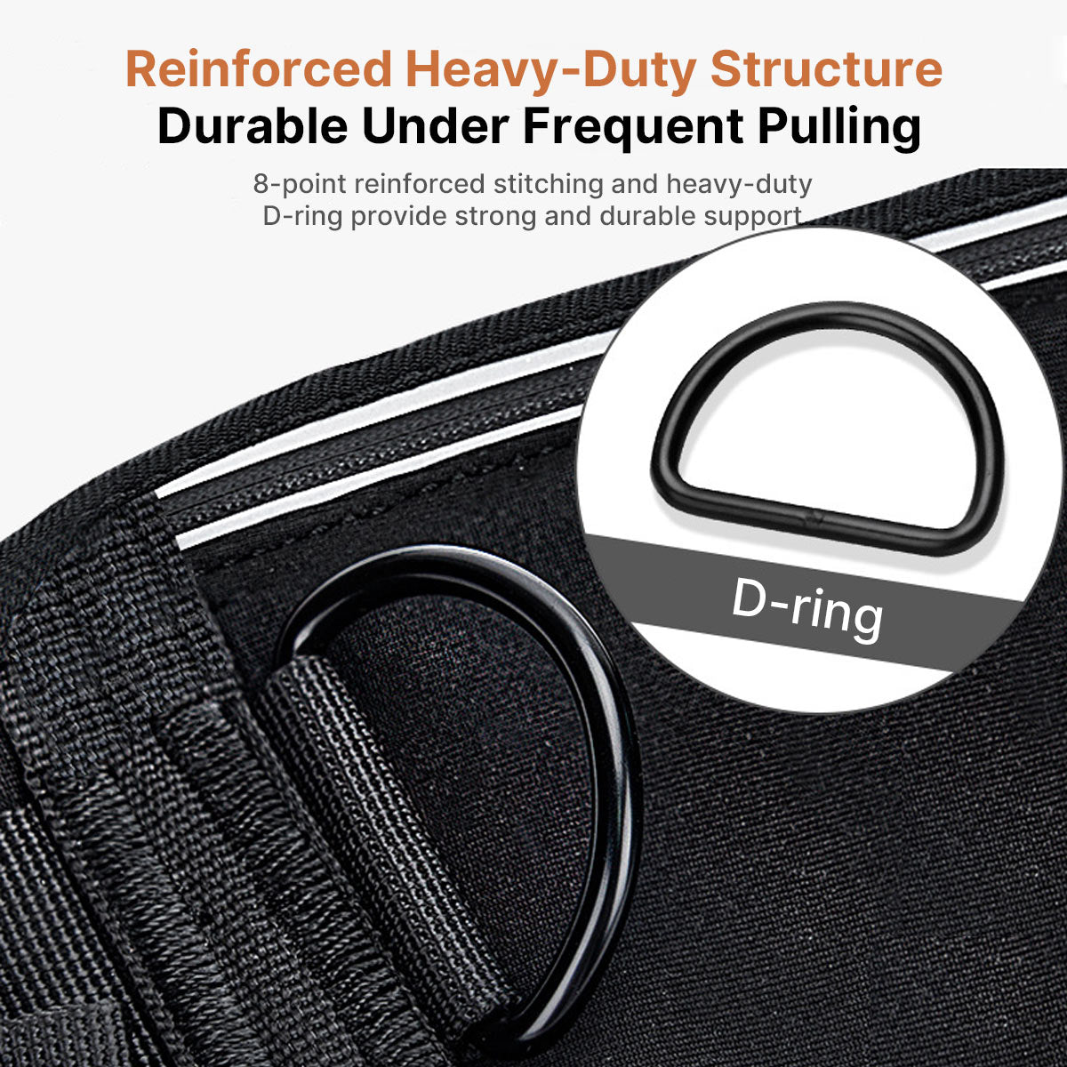 Hands-Free Dog Leash with Waist Bag – Dual Buffer Anti-Pull Running Leash for Walking & Hiking | Traverseon