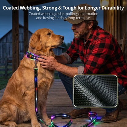 LED Glowing Pet Collar Leash - 3 Modes 100m Visible USB Rechargeable for Night Walk | Traverseon