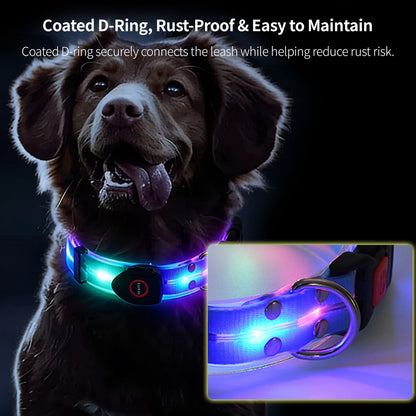 LED Glowing Pet Collar Leash - 3 Modes 100m Visible USB Rechargeable for Night Walk | Traverseon