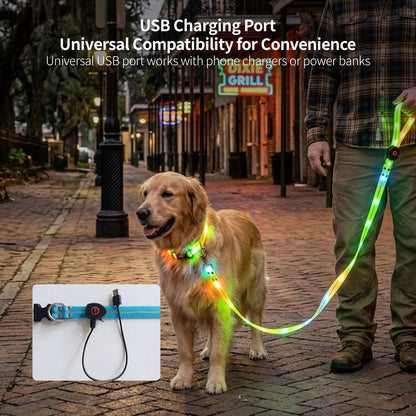 LED Glowing Pet Collar Leash - 3 Modes 100m Visible USB Rechargeable for Night Walk | Traverseon