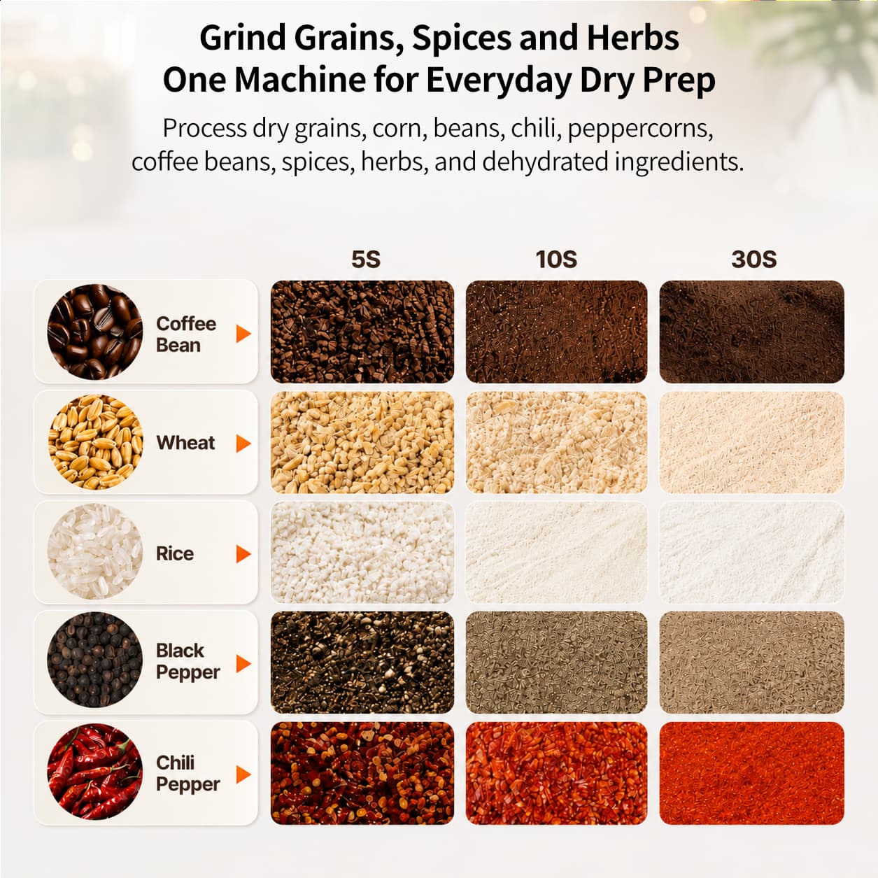 Electric Grain Grinder – 800g–2000g Swing-Type Spice & Herb Mill | Traverseon