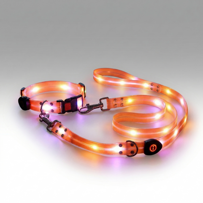 LED Glowing Pet Collar Leash - 3 Modes 100m Visible USB Rechargeable for Night Walk | Traverseon